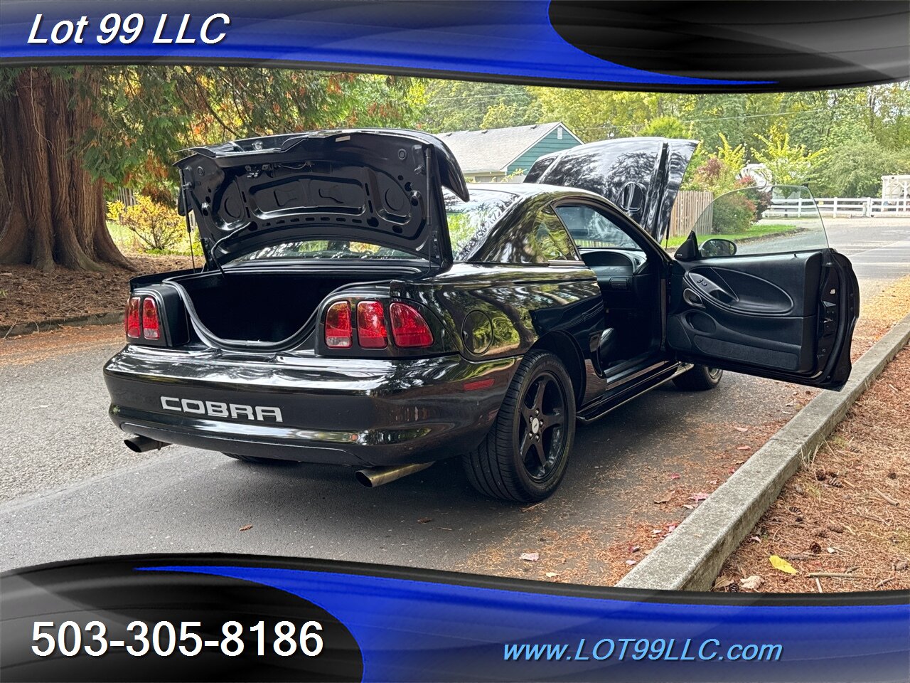 1998 Ford Mustang SVT COBRA 146k 5 Speed Manual Leather   - Photo 36 - Milwaukie, OR 97267