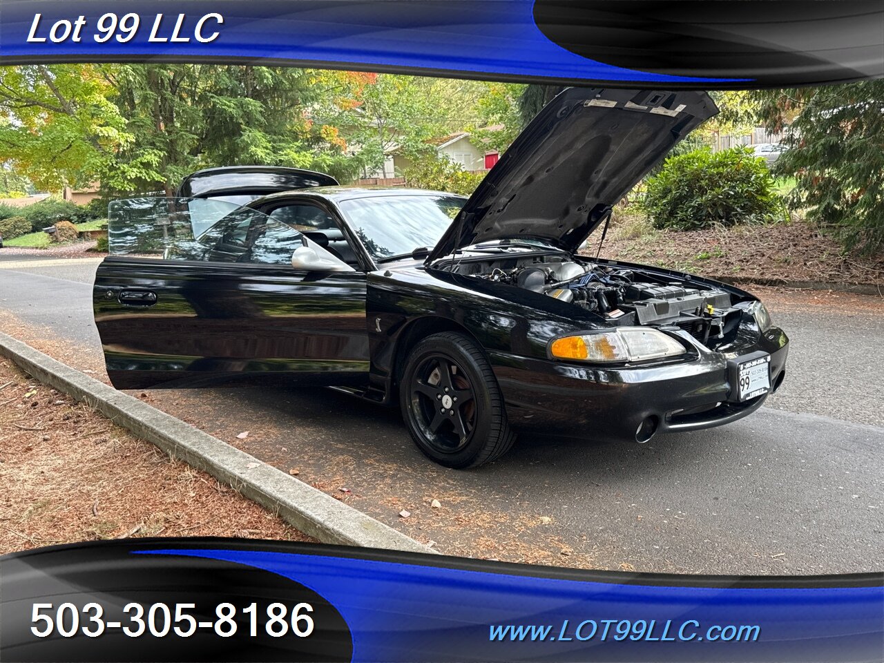 1998 Ford Mustang SVT COBRA 146k 5 Speed Manual Leather   - Photo 34 - Milwaukie, OR 97267