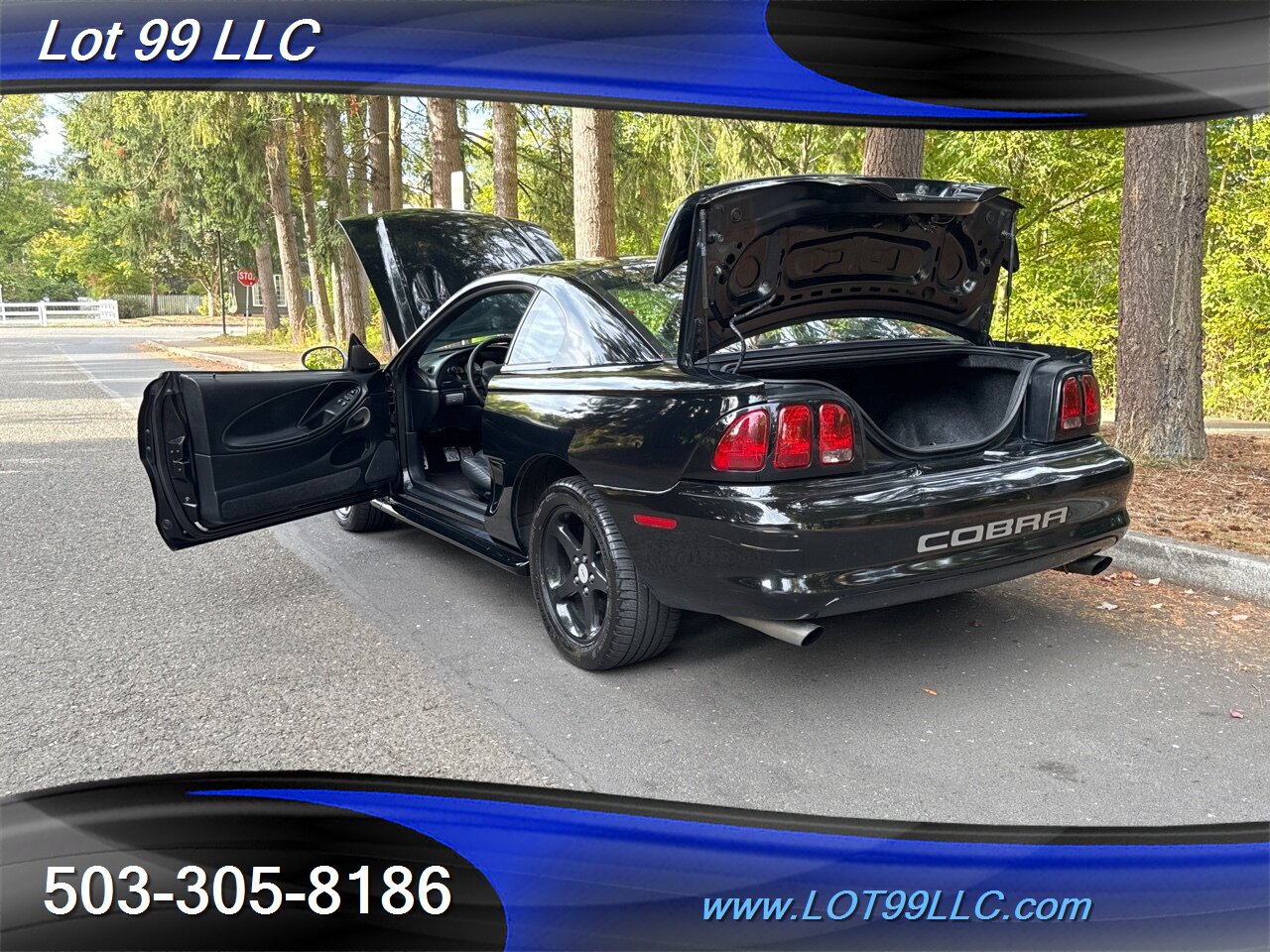 1998 Ford Mustang SVT COBRA 146k 5 Speed Manual Leather   - Photo 38 - Milwaukie, OR 97267