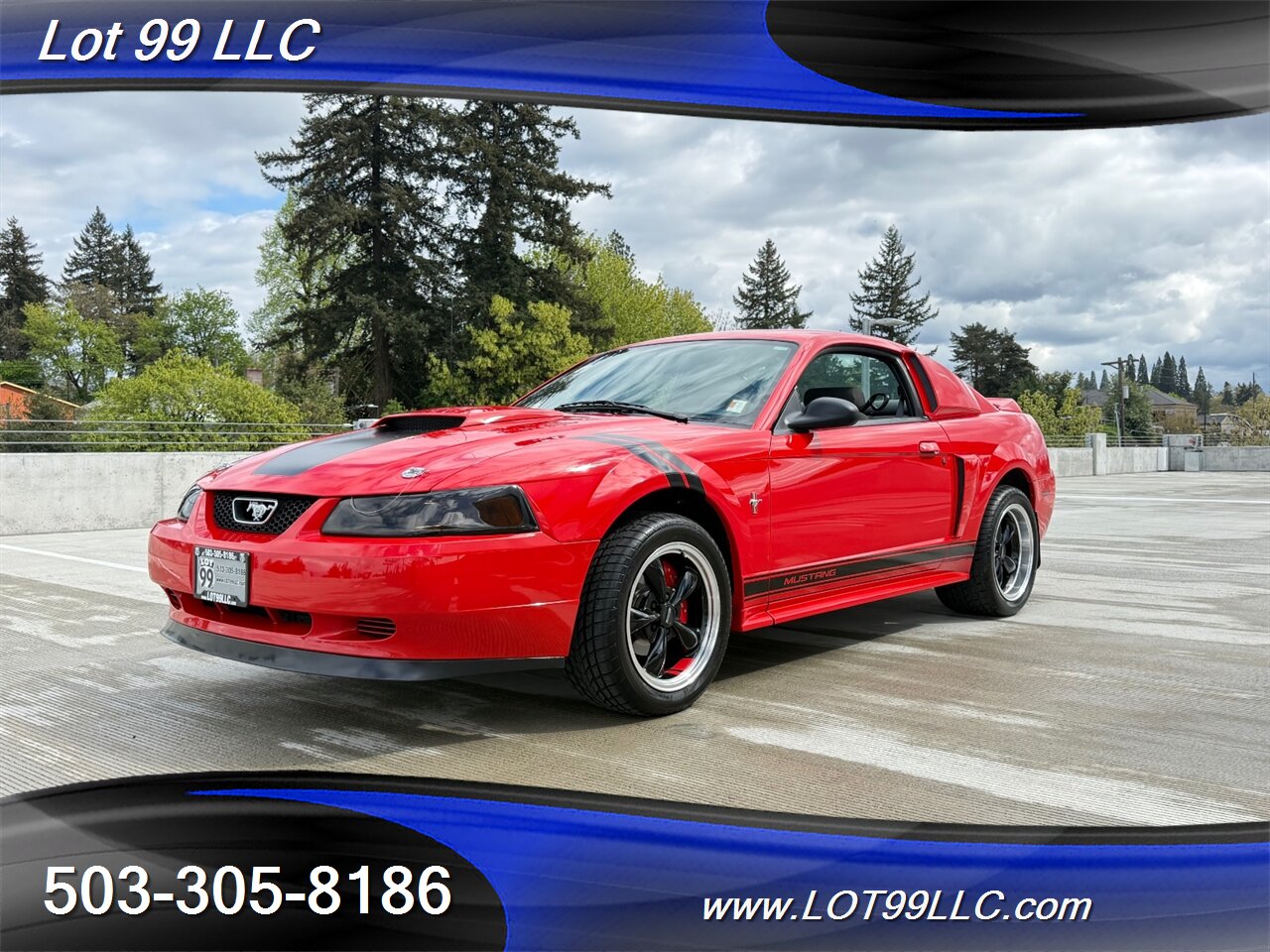 2000 Ford Mustang **Only 32k Miles** 5 Speed Manual ** Signed by Gale Halderman Designer of the 1st Mustang Ever!! ** - Photo 3 - Milwaukie, OR 97267