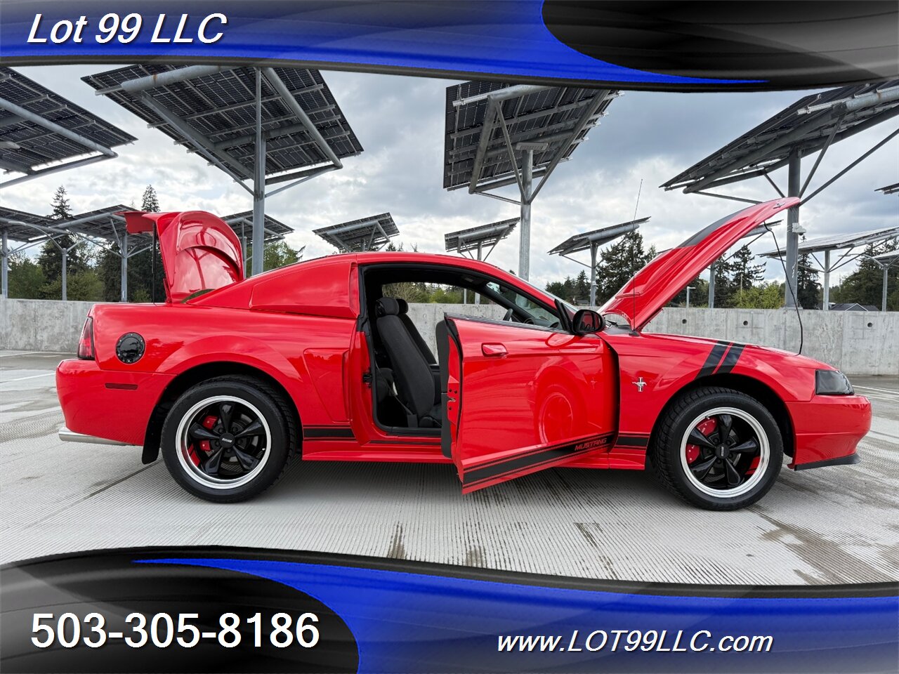 2000 Ford Mustang **Only 32k Miles** 5 Speed Manual ** Signed by Gale Halderman Designer of the 1st Mustang Ever!! ** - Photo 20 - Milwaukie, OR 97267