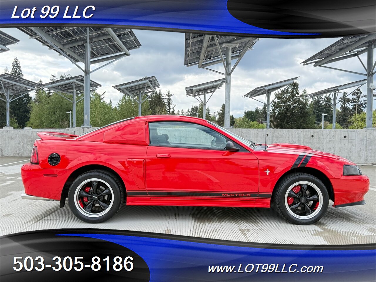 2000 Ford Mustang **Only 32k Miles** 5 Speed Manual ** Signed by Gale Halderman Designer of the 1st Mustang Ever!! ** - Photo 6 - Milwaukie, OR 97267