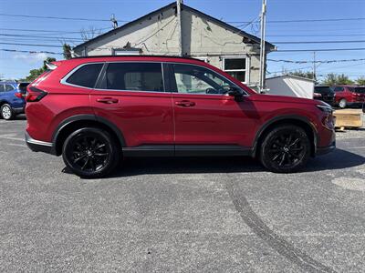 2024 Honda CR-V Hybrid Sport - Photo 6 - Toms River, NJ 08753