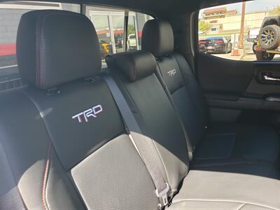 2023 Toyota Tacoma TRD Off-Road  - Moab Edition - Photo 18 - Saint George, UT 84770