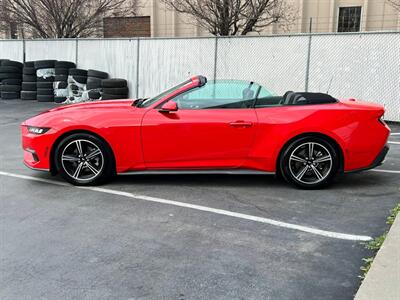 2024 Ford Mustang EcoBoost   - Photo 4 - Salt Lake City, UT 84115