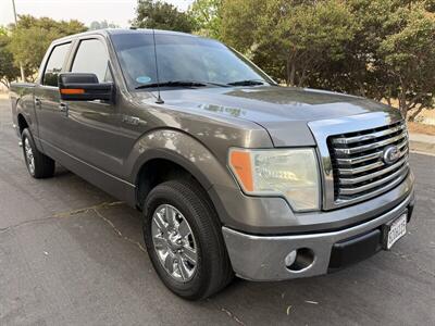 2010 Ford F-150 XLT Truck