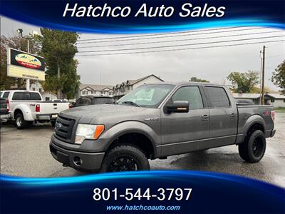 2010 Ford F-150 FX4   - Photo 1 - Layton, UT 84041