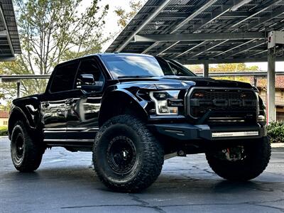 2017 Ford F-150 Raptor - Photo 47 - Vista, CA 92084