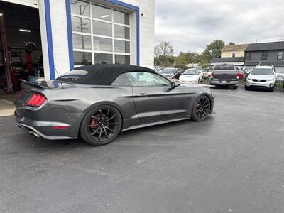 2019 Ford Mustang GT Premium   - Photo 5 - West Chester, PA 19382