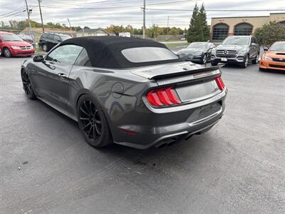 2019 Ford Mustang GT Premium   - Photo 8 - West Chester, PA 19382