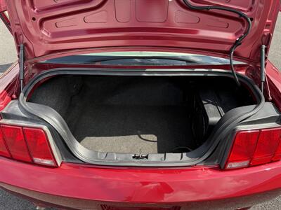 2007 Ford Mustang GT Premium   - Photo 13 - West Chester, PA 19382