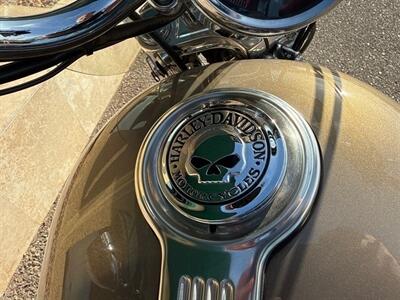 2004 HARLEY DAVIDSON XL1200 SPORTSTER CUSTOM   - Photo 9 - Phoenix, AZ 85014