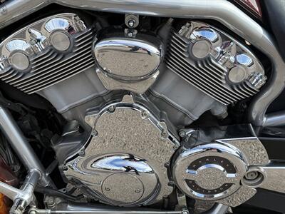 2005 HARLEY DAVIDSON V-ROD   - Photo 14 - Phoenix, AZ 85014