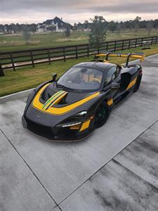 2019 McLaren Senna XP-Carbon Exposed!   - Photo 1 - Houston, TX 77064