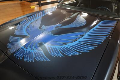 1981 Pontiac Trans Am TURBO - Photo 15 - Springfield, OH 45503