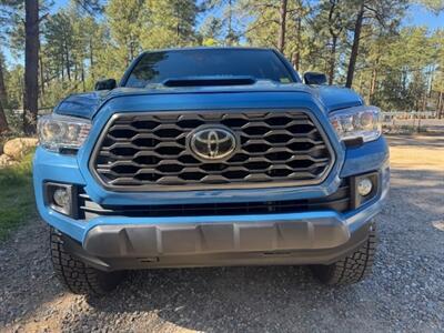 2019 Toyota Tacoma TRD Off-Road  4x4 - Photo 9 - Prescott, AZ 86301