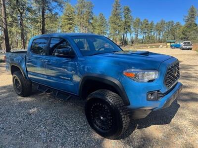 2019 Toyota Tacoma TRD Off-Road  4x4 - Photo 7 - Prescott, AZ 86301