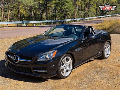 2014 Mercedes-Benz SLK SLK 250 Convertible
