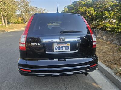 2010 Honda CR-V EX-L   - Photo 7 - Ventura, CA 93003