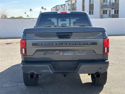 2019 Ford F-150 HARLEY DAVIDSON 4WD 98K MSRP #337 SUPER RARE F150   - Photo 8 - Scottsdale, AZ 85257