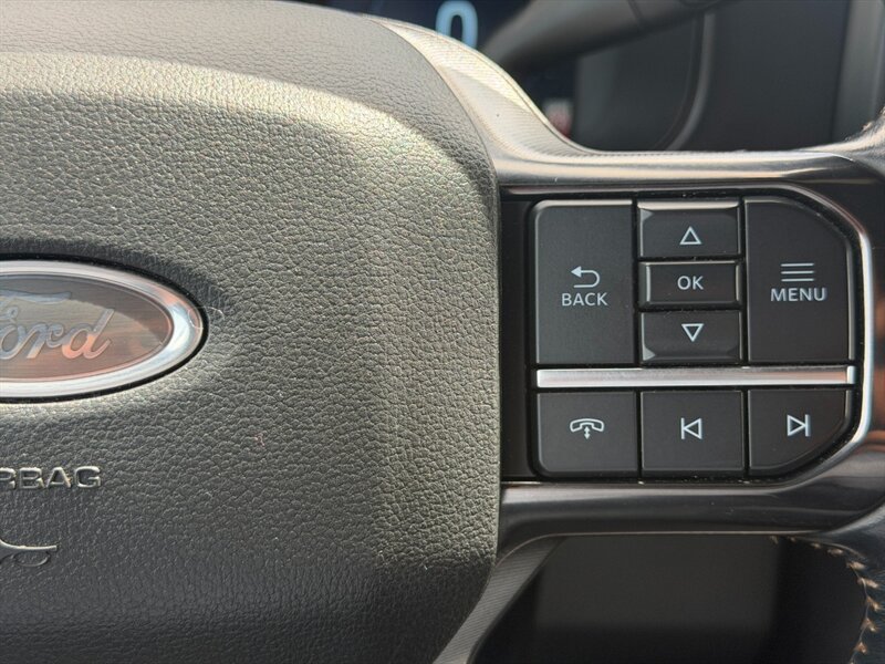 2023 Ford F-450 Super Duty Platinum DUALLY DIESEL TRUCK 4WD FORD F450 DUALLY - Photo 17 - Scottsdale, AZ 85257