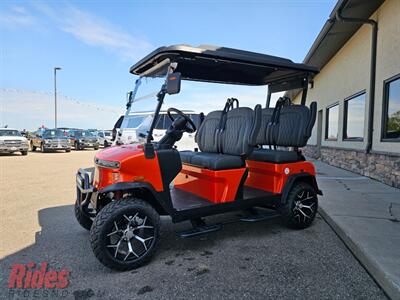 2025 Denago Rover XL   - Photo 6 - Bismarck, ND 58503