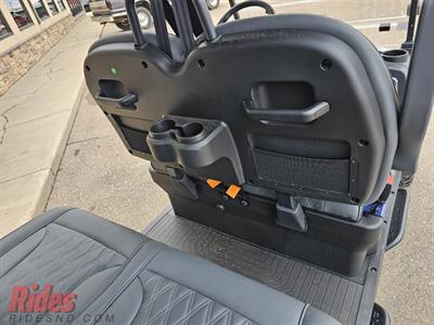 2025 Denago Rover XL Golf   - Photo 19 - Bismarck, ND 58503