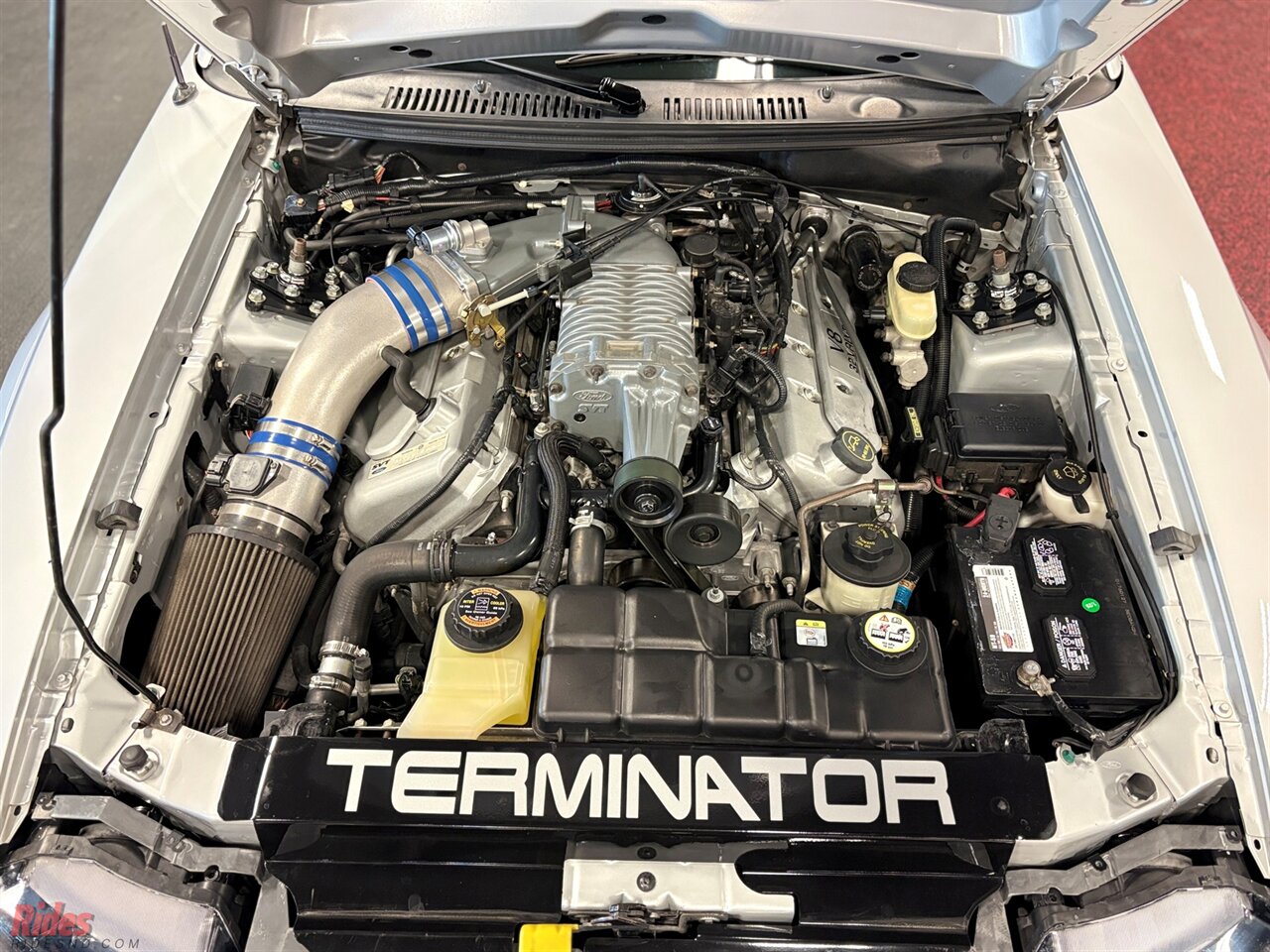 2003 Ford Mustang SVT Cobra   - Photo 46 - Bismarck, ND 58503