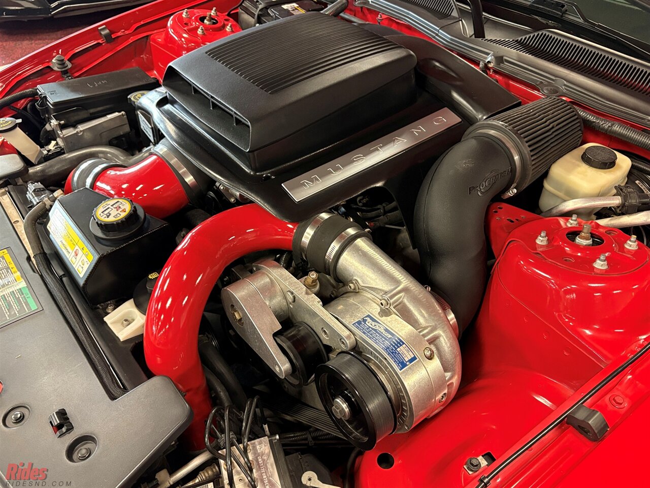 2006 Ford Mustang GT Premium   - Photo 43 - Bismarck, ND 58503
