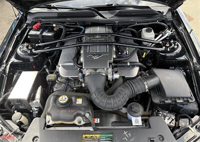 2008 Ford Mustang GT Premium   - Photo 37 - Bismarck, ND 58503