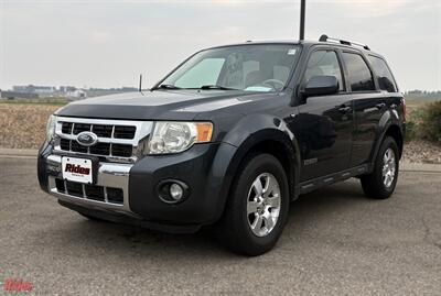 2008 Ford Escape Limited SUV