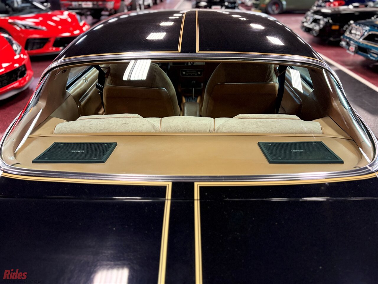 1978 Pontiac Firebird Trans Am   - Photo 35 - Bismarck, ND 58503
