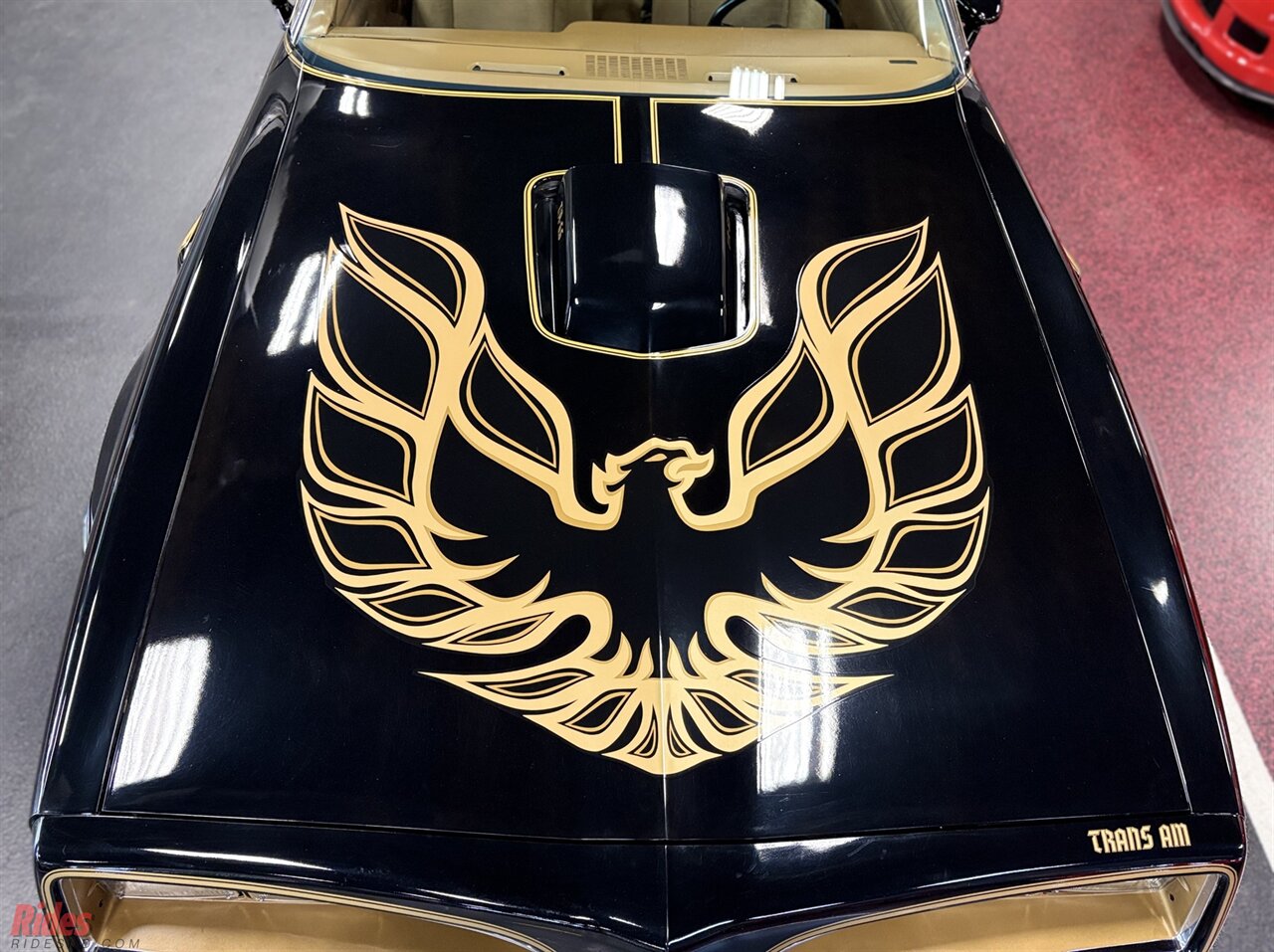 1978 Pontiac Firebird Trans Am   - Photo 3 - Bismarck, ND 58503