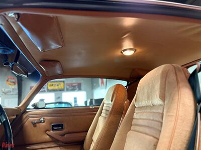 1978 Pontiac Firebird Trans Am   - Photo 20 - Bismarck, ND 58503