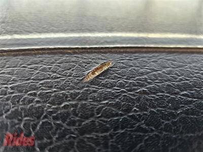 1968 Dodge Charger RT   - Photo 17 - Bismarck, ND 58503