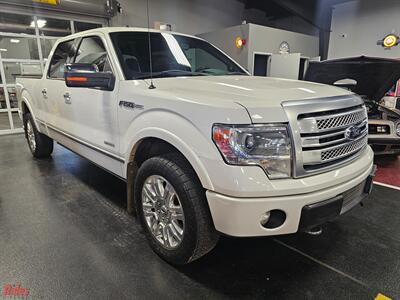 2014 Ford F-150 Platinum - Photo 15 - Bismarck, ND 58503