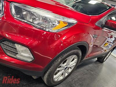 2019 Ford Escape SE   - Photo 3 - Bismarck, ND 58503