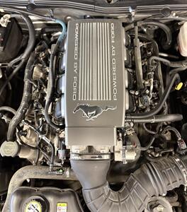 2008 Ford Mustang GT Deluxe   - Photo 42 - Bismarck, ND 58503