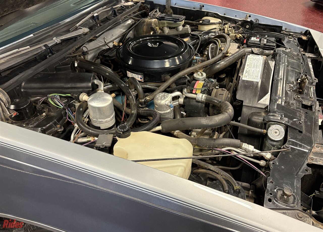 1982 Oldsmobile Cutlass Supreme   - Photo 44 - Bismarck, ND 58503