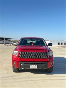 2021 Toyota Tundra SR   - Photo 7 - San Antonio, TX 78244