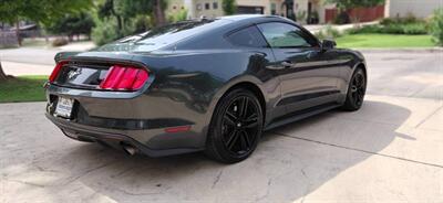 2015 Ford Mustang EcoBoost - Photo 5 - San Antonio, TX 78244
