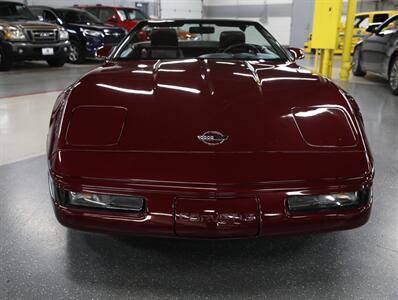 1993 Chevrolet Corvette Convertible   - Photo 7 - Addison, IL 60101