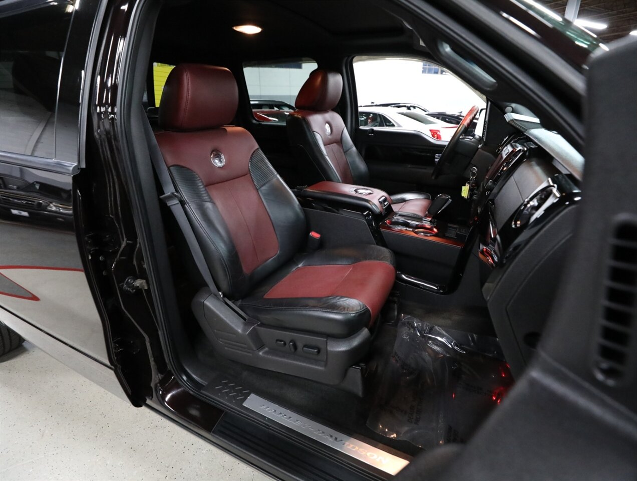 2010 Ford F-150 Harley-Davidson 4X4   - Photo 20 - Addison, IL 60101