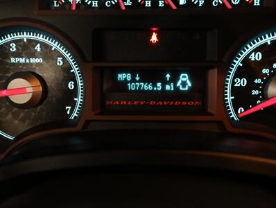 2010 Ford F-150 Harley-Davidson 4X4   - Photo 44 - Addison, IL 60101