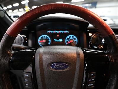 2010 Ford F-150 Harley-Davidson 4X4   - Photo 42 - Addison, IL 60101