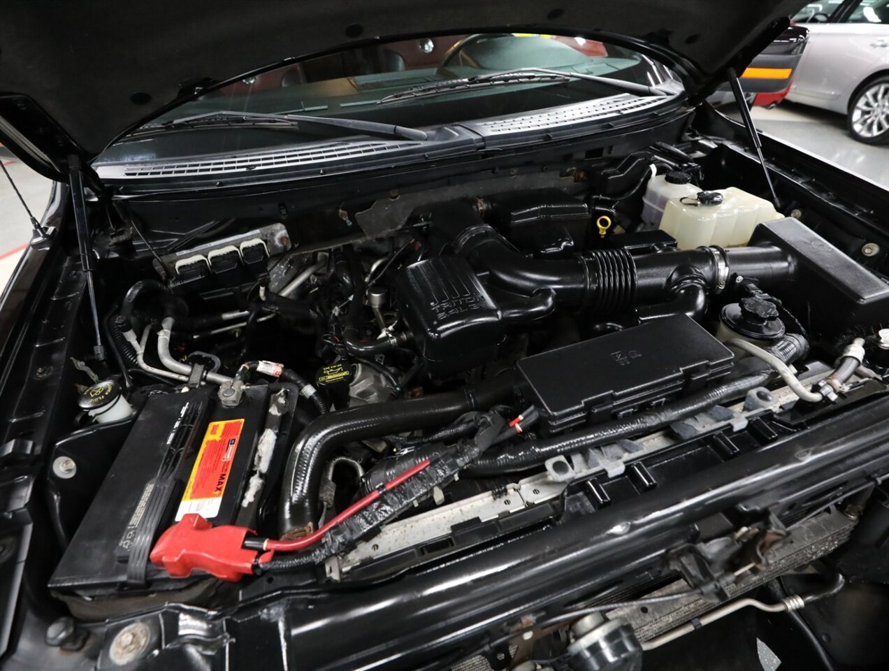 2010 Ford F-150 Harley-Davidson 4X4   - Photo 51 - Addison, IL 60101