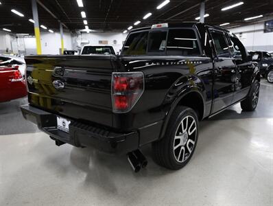 2010 Ford F-150 Harley-Davidson 4X4   - Photo 10 - Addison, IL 60101