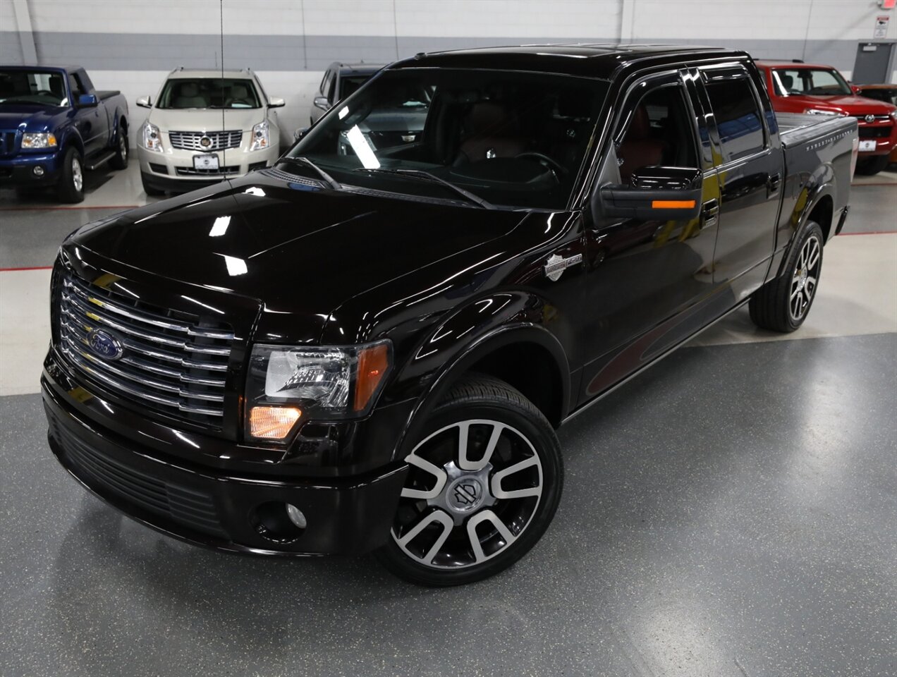 2010 Ford F-150 Harley-Davidson 4X4   - Photo 2 - Addison, IL 60101