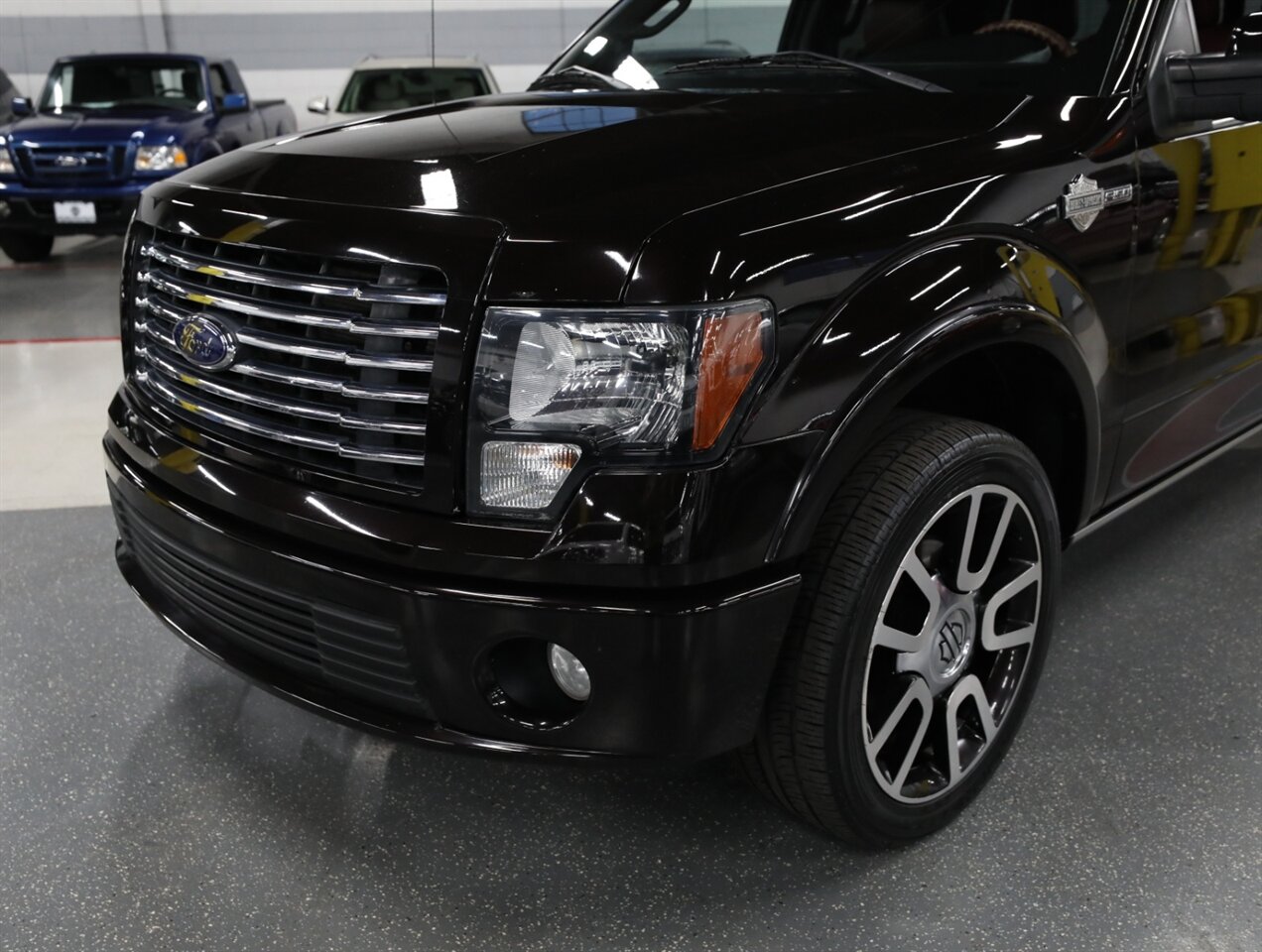 2010 Ford F-150 Harley-Davidson 4X4   - Photo 3 - Addison, IL 60101