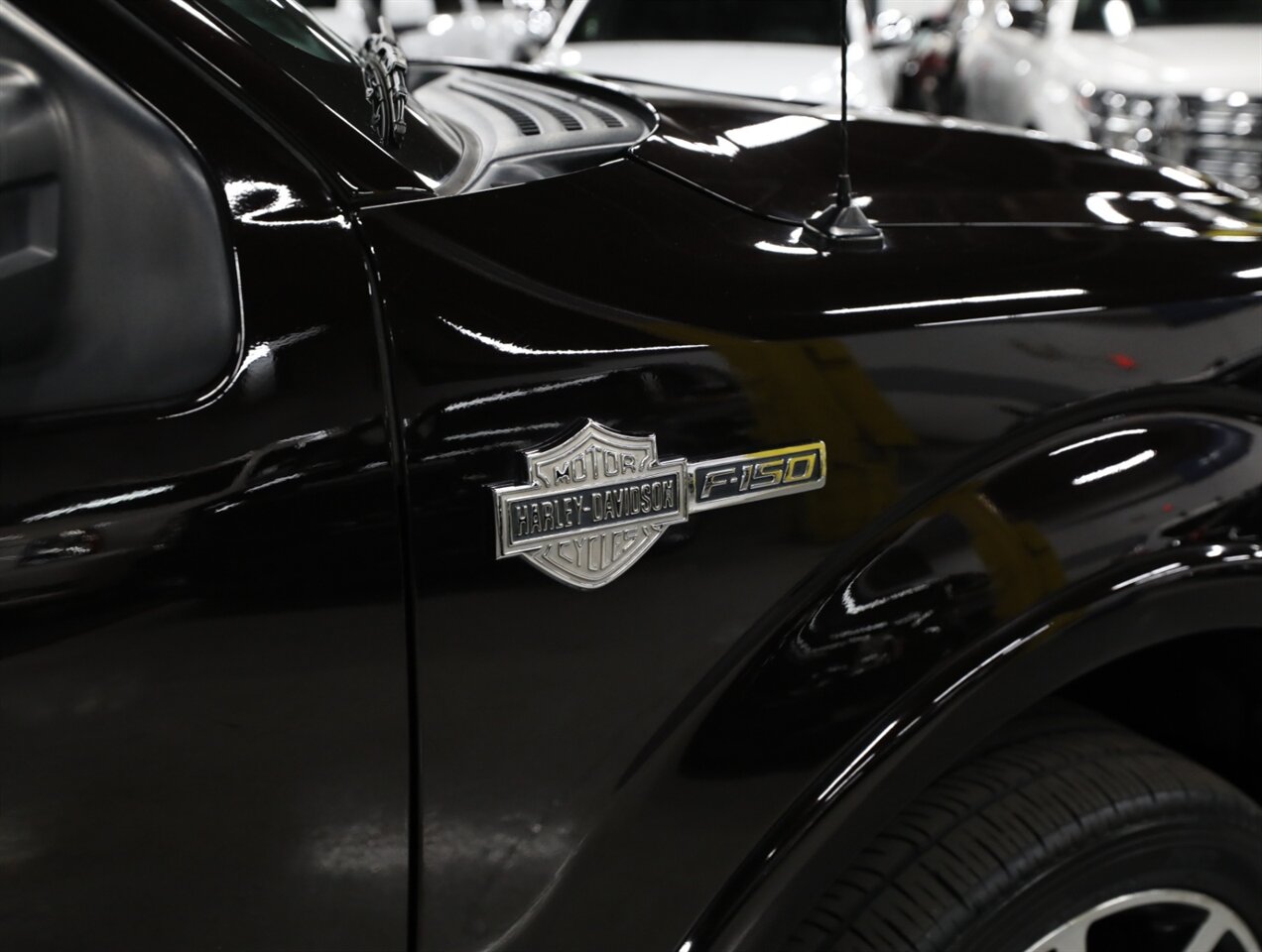 2010 Ford F-150 Harley-Davidson 4X4   - Photo 8 - Addison, IL 60101